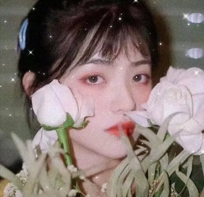 爱欲之岛