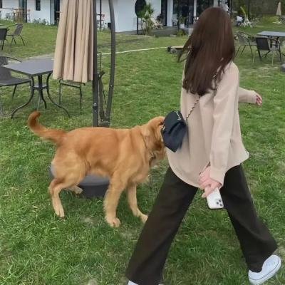 绝命救赎